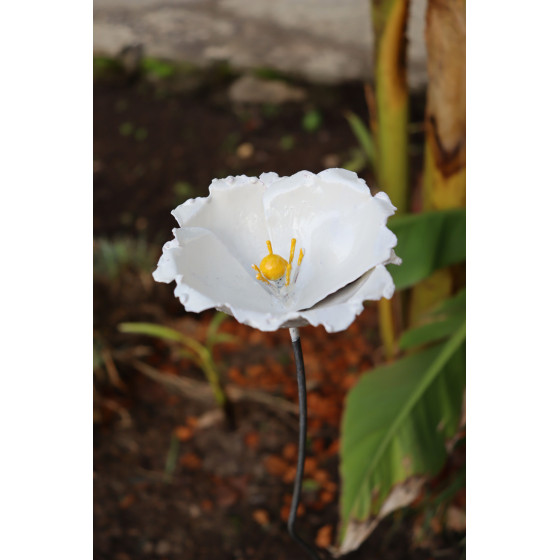 comment présenter des coquelicots en métal