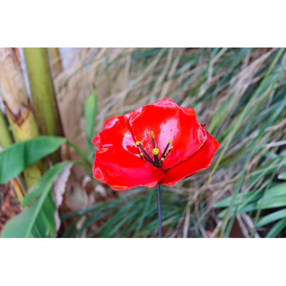 Coquelicot métal à planter