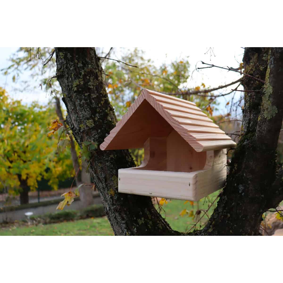 Faut-il installer une mangeoire pour les oiseaux dans votre jardin en  permaculture ?