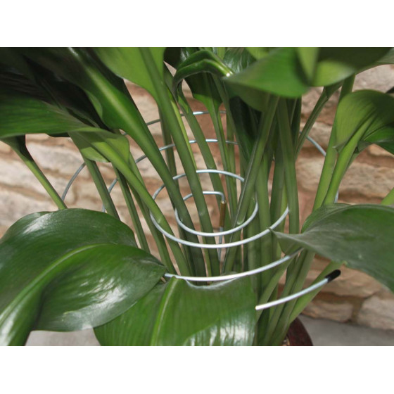 Tuteurs spirale en acier pour plantes (les 3)