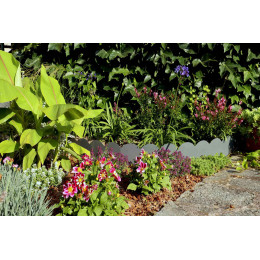 bordure de jardin gris dans massif de fleurs