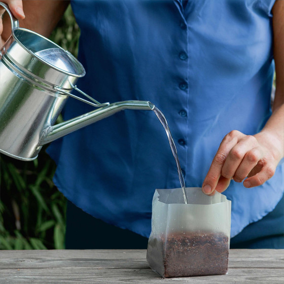 terreau de coco à arroser