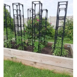 cage à tomates pour tuteurer les tomates