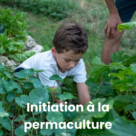 Initiation à la permaculture avec un professionnel