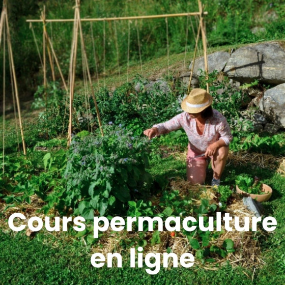 Cours de permaculture en ligne sur 1 an