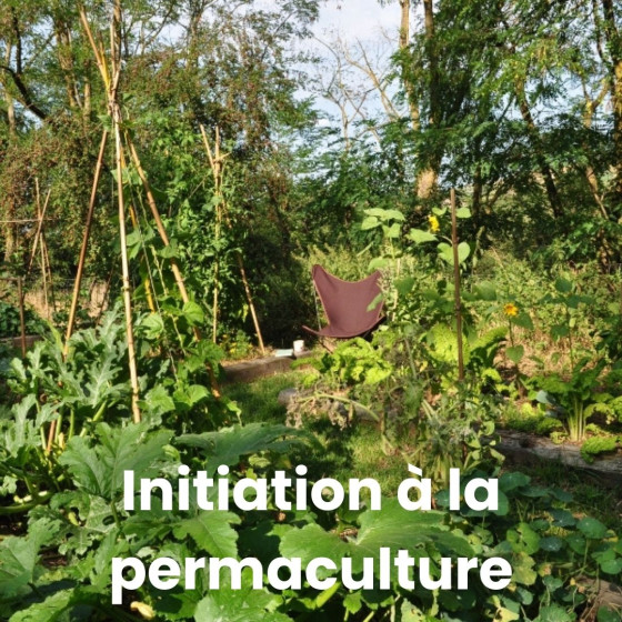 Initiation à la permaculture avec un ingénieur agronome