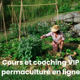 Cours et coaching VIP de permaculture en ligne sur 1 an