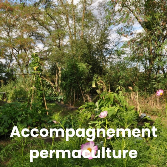 Accompagnement et coaching permaculture sur un an