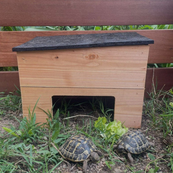 Abri pour tortue en bois douglas