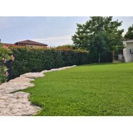 pelouse synthétique