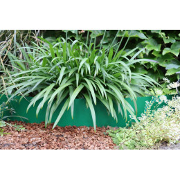 bordurette de jardin H 15 cm en acier