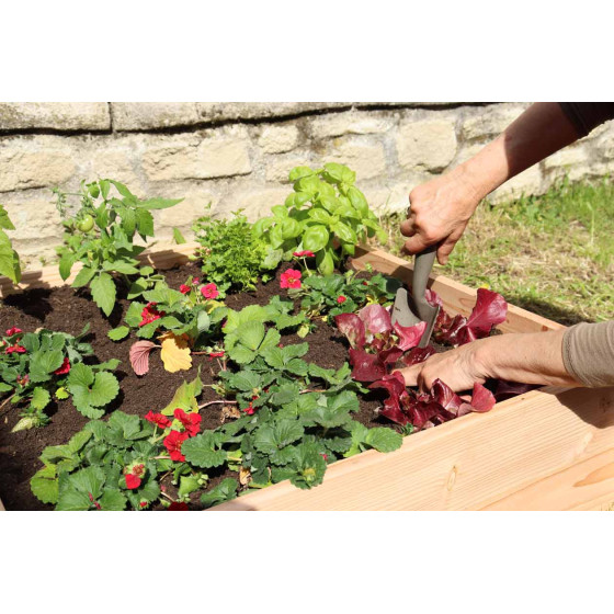 Carré potager pour fleurs