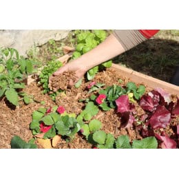 paillage coco avec fleur rose et verte