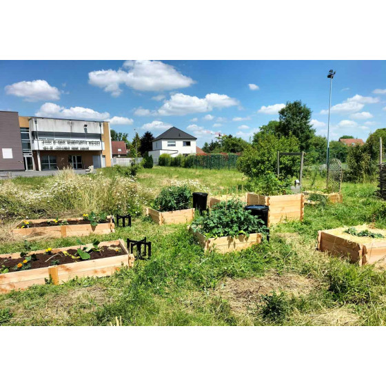 carrés potagers avec rectangle potager