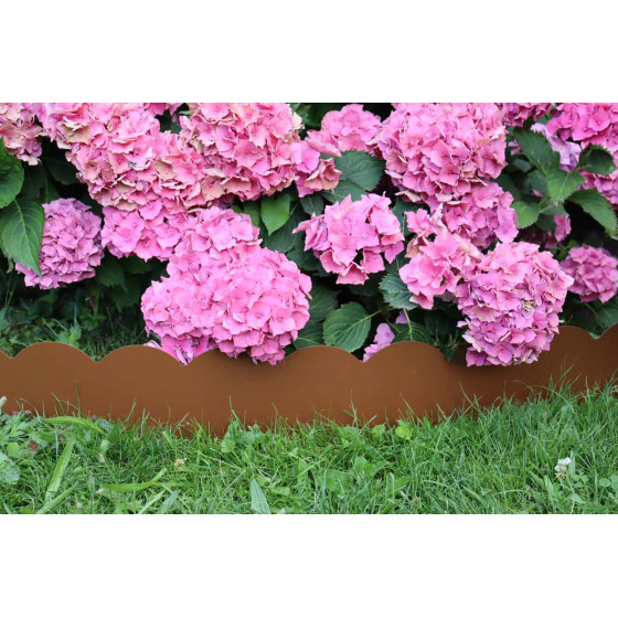 Bordure de jardin en acier avec hortensias