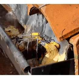 Crapaudine gouttière en acier galvanisé