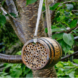 nichoir à abeilles en bois FSC