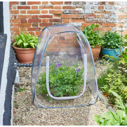 pop up serre de jardin