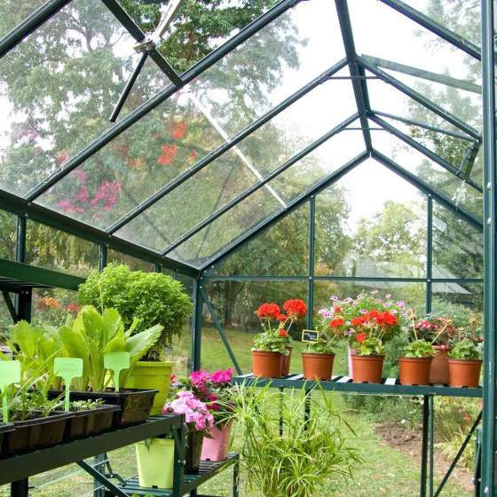 Serre de jardin en aluminium vert foncé