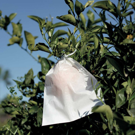 Sac de protection pour fruit poire peche