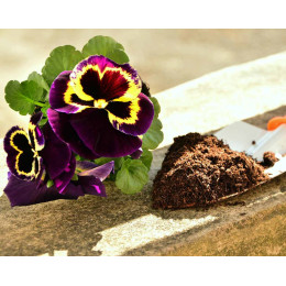 Terreau professionnel 5 sacs de 40 L