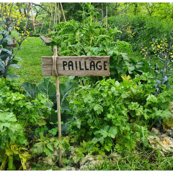 coaching en ligne conception potager