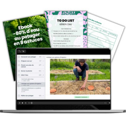 Cours en ligne réduire l'eau au potager