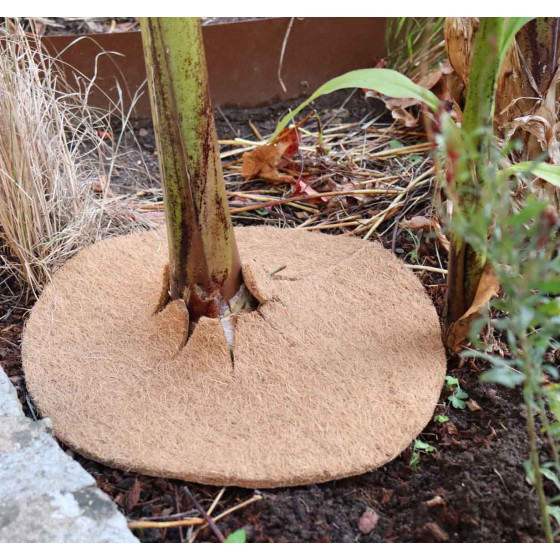 Disque de paillage pour le potager