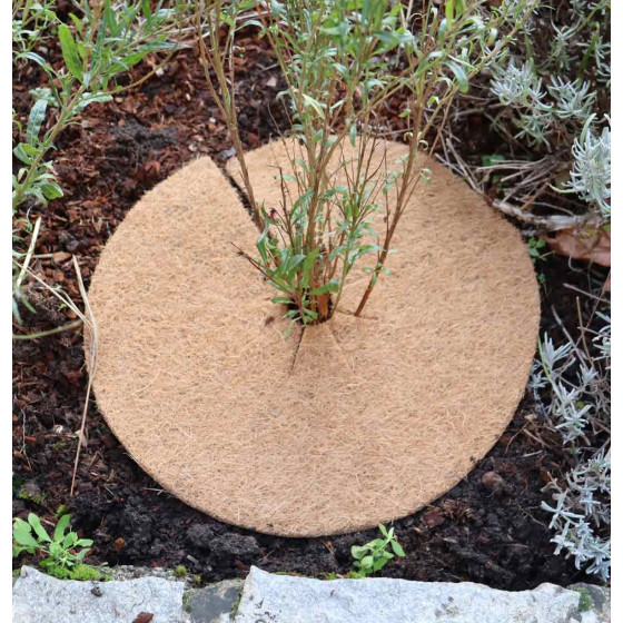 Disque de paillage de plusieurs diamètres