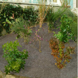 feutre de paillage carré potager