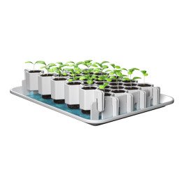 Kit germination semis