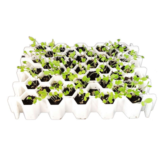 Matériel de germination pour petites graines