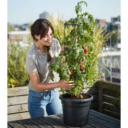 Pot pour culture tomate