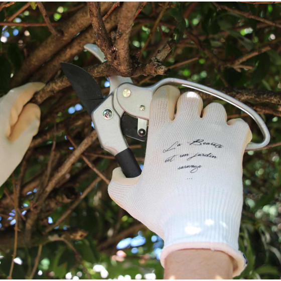 Sécateur de jardin pour couper branche