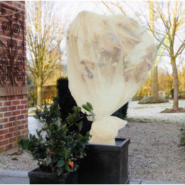 Voile d'hivernage P60 pour protéger plantes du froid
