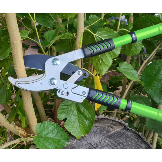 coupe branche à cliquet