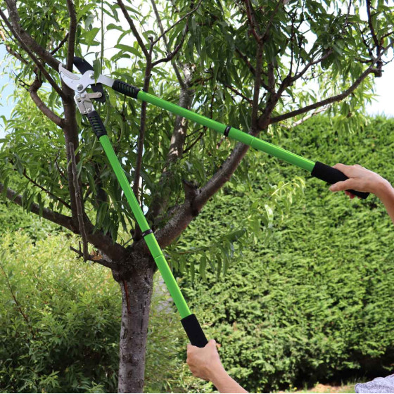 coupe branche téléscopique