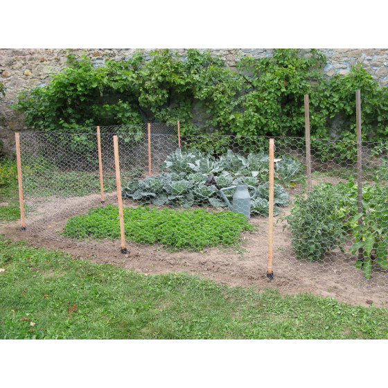 clôture bois potager