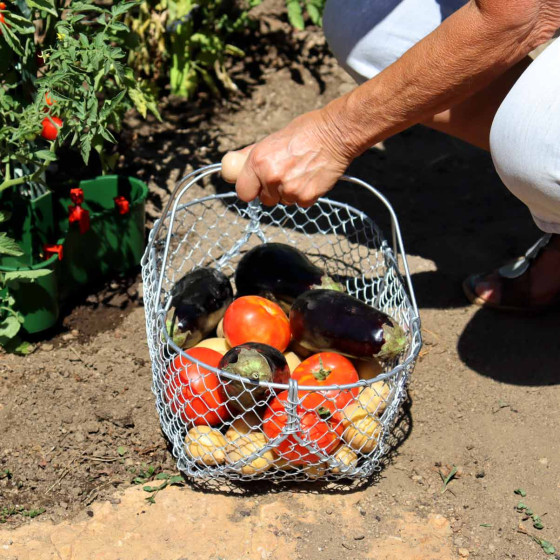 Panier en fil d'acier galvanisé