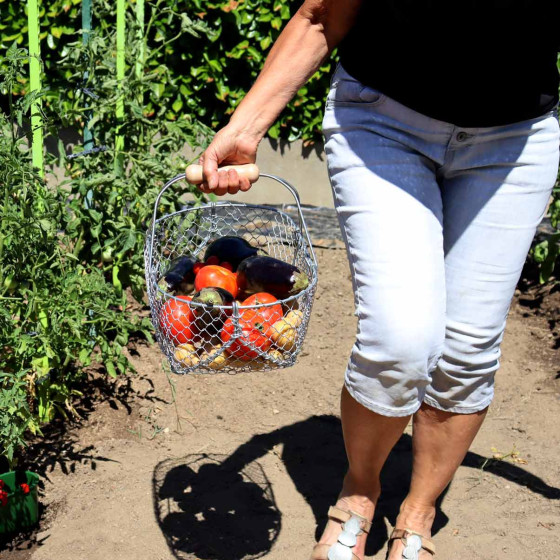 Panier en grillage pour potager