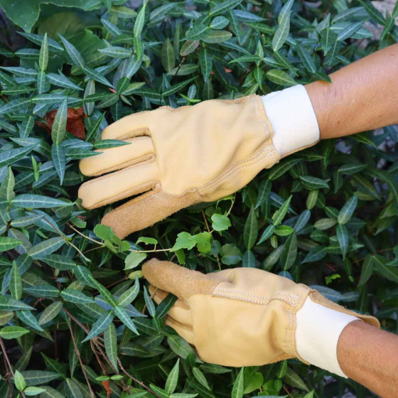 gants de jardinage