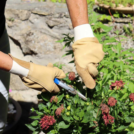 gants de jardin