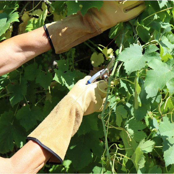 gants de jardin manches longues