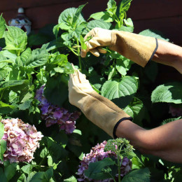 Gants rosiers et petits épineux femme en cuir