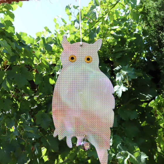 épouvantail à oiseaux