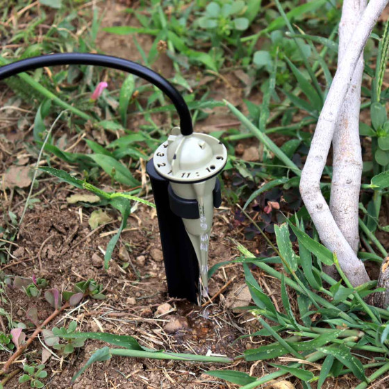 goutteur reglable iriso arrosage arbre fruitier