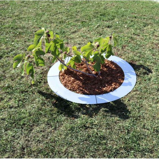 bordure arbre acier galvanise