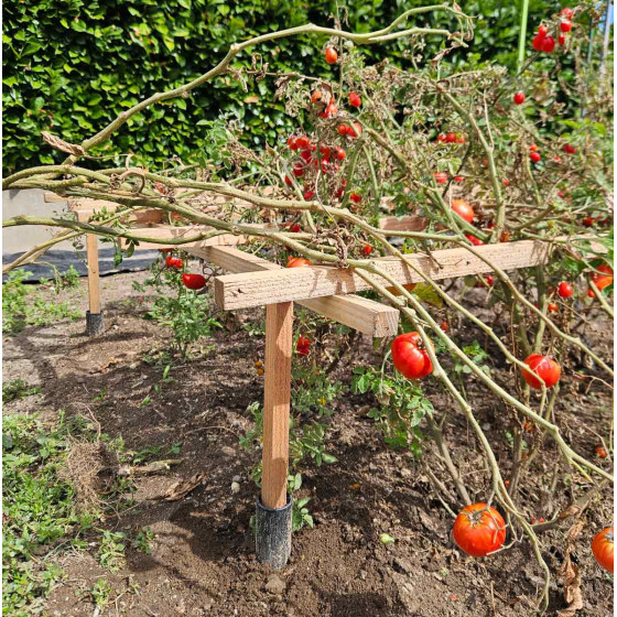 Tuteur tomate cage a tomates horizontale