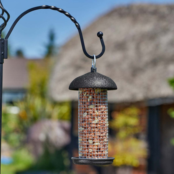 station alimentation pour oiseaux