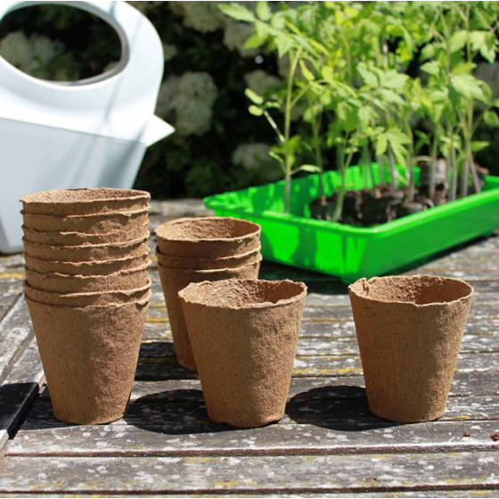 Pots pour semis ronds 6 cm biodégradables